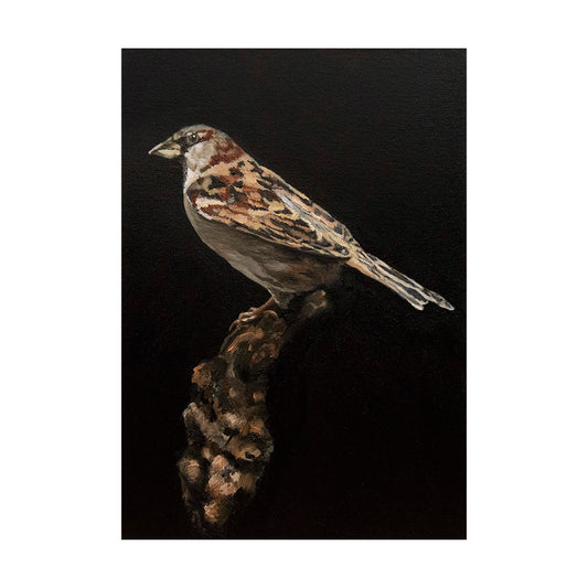 "Unnoticed" - Original Artwork